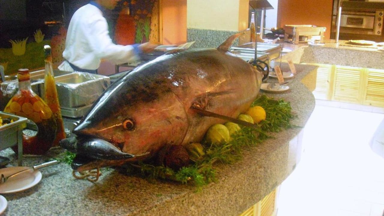 Restaurant Hotel Paradis Palace