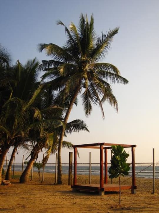 Sportcenterpalmen Mermaid Hotel & Club