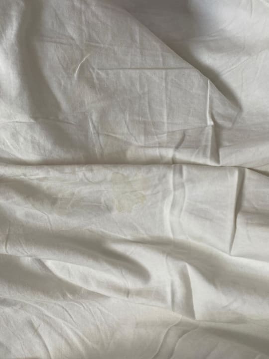 Zimmer SEETELHOTEL Villa Aurora