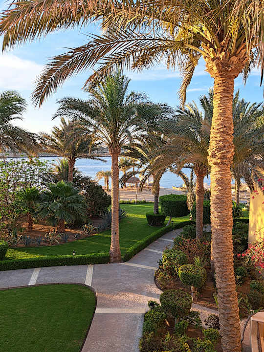 Gartenanlage Steigenberger Coraya Beach - Adults only