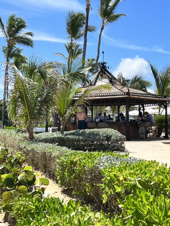 Gastro Excellence Punta Cana - Adults only