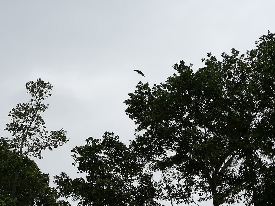 Gartenanlage Berjaya Beau Vallon Bay Resort & Casino