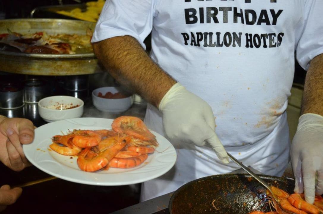 Gala Abend  Papillon Ayscha