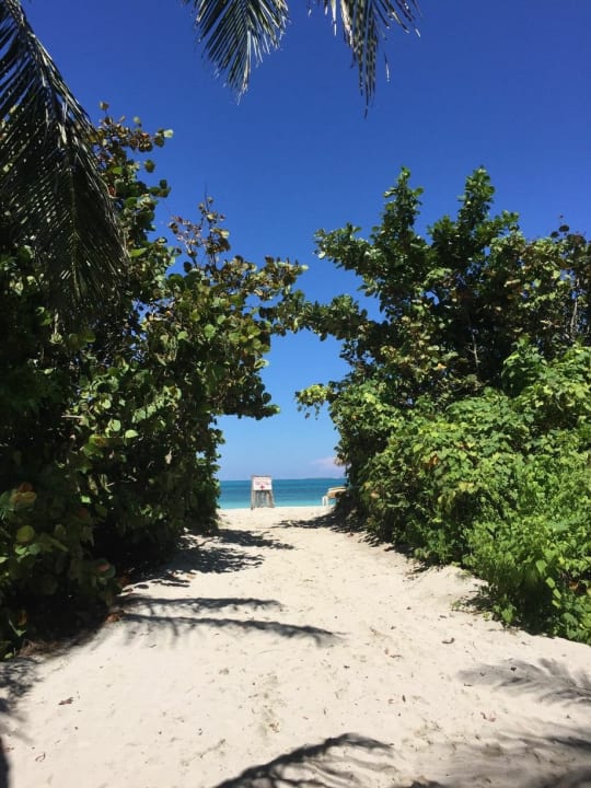 Strand Iberostar Origin Playa Alameda