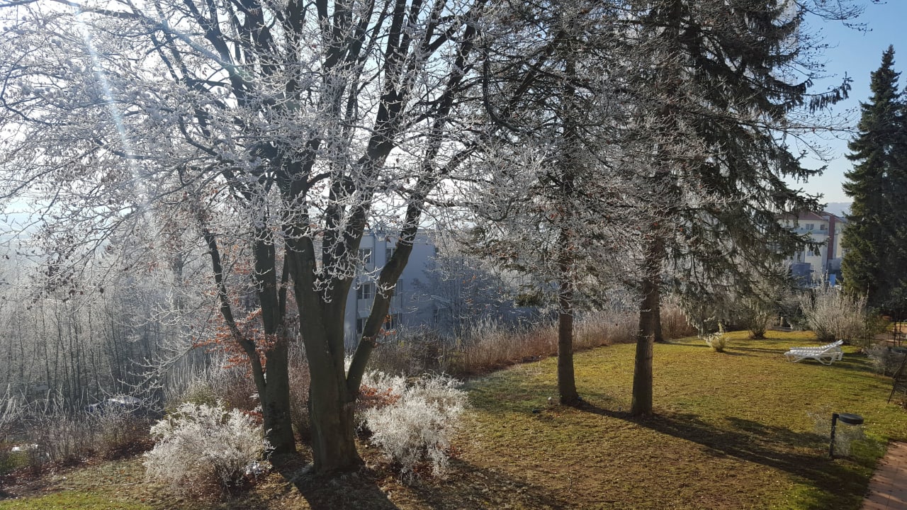 Blick vom Balkon Zimmer 22 Kategorie Erlenbach Vitalhotel König am Park