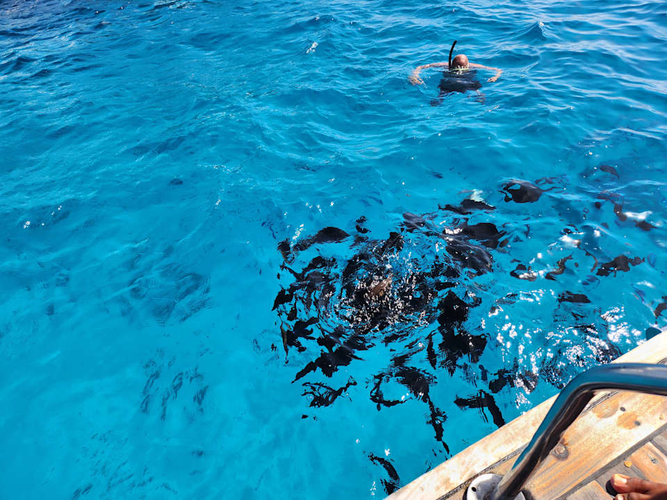 Sport & Freizeit Pickalbatros Alf Leila Wa Leila Resort - Neverland Hurghada