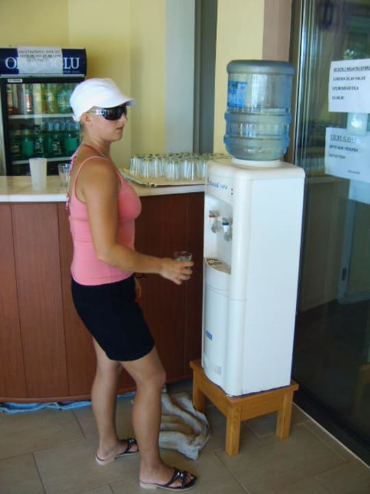 Wasserspender Silver Hotel