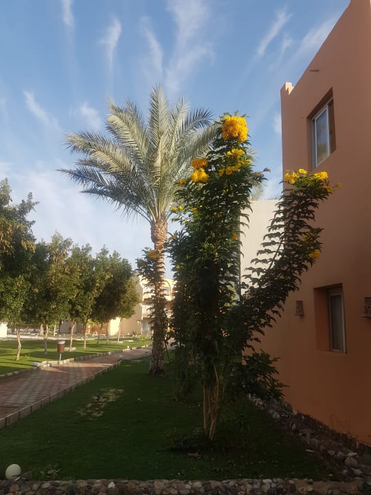 Gartenanlage Three Corners Sea Beach Resort