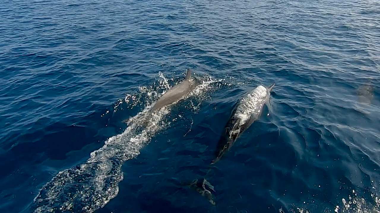 Strand Cinnamon Hakuraa Huraa Maldives