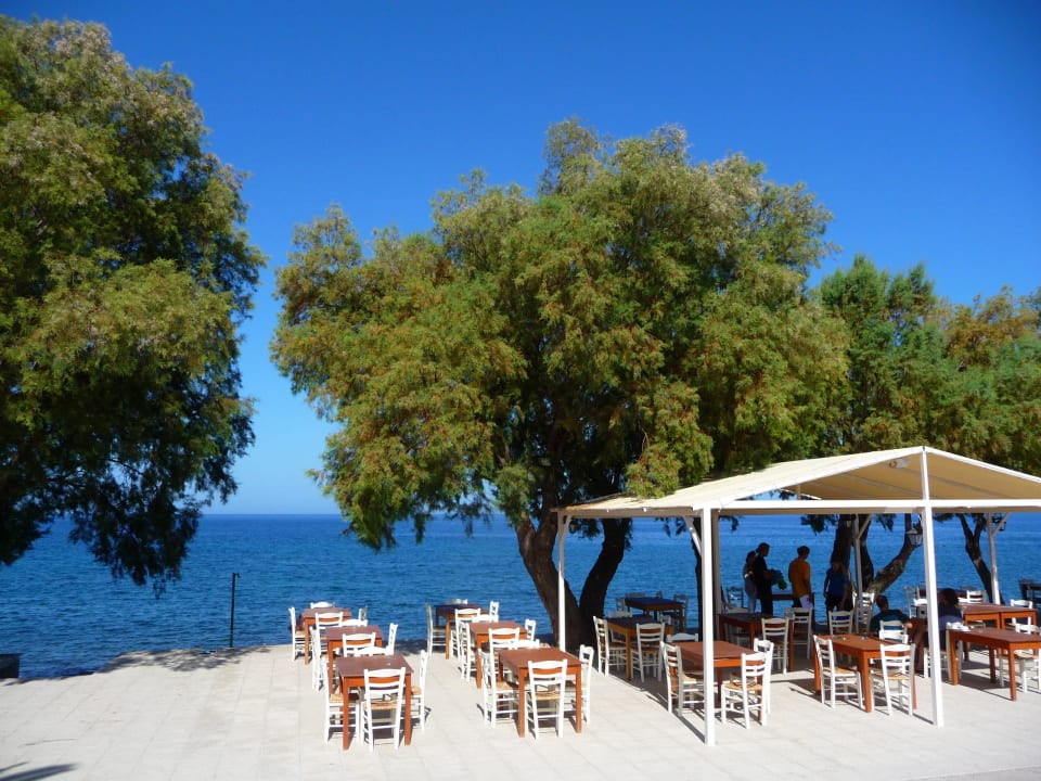 Taverne Aphrodite Hotel