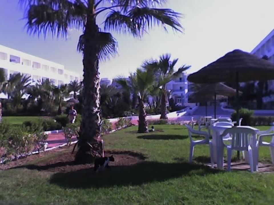 Rosa Beach Skanes Hotel Rosa Beach