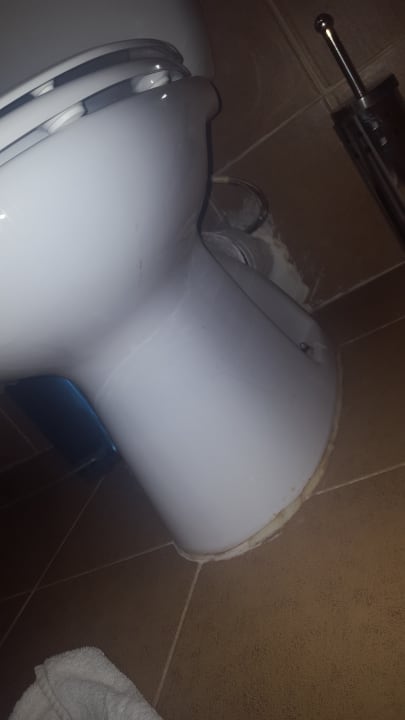 Zimmer Beach Albatros Resort