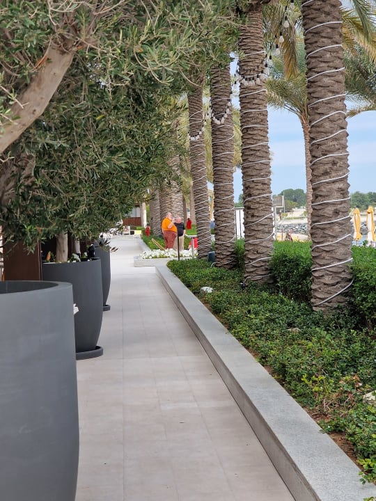 Gartenanlage Vida Beach Resort Umm Al Quwain