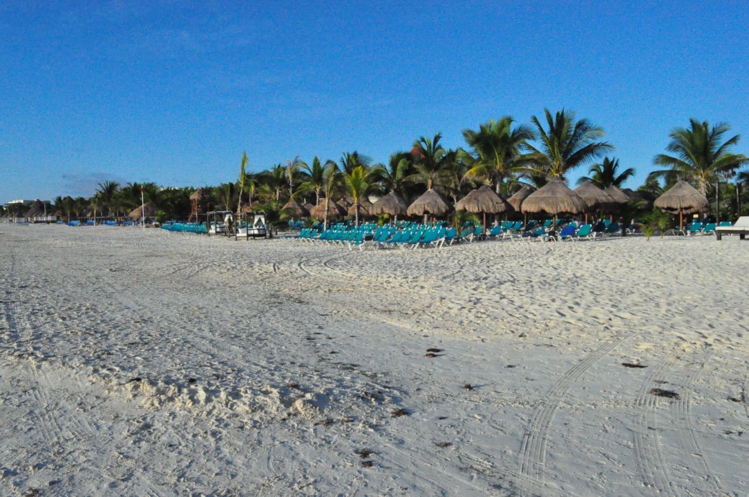 Strand am Morgen Catalonia Playa Maroma