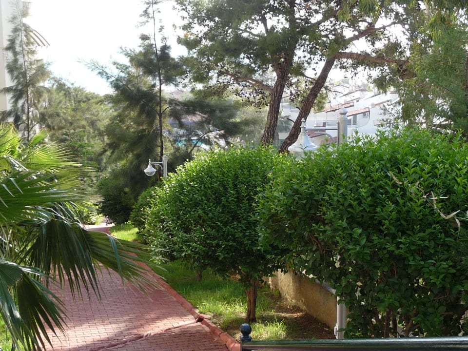 Ein kleiner Teil des Gartens Side Sun Hotel