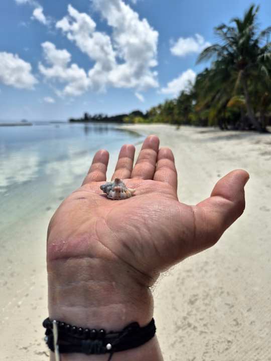 Sonstiges Kuredu Island Resort & Spa