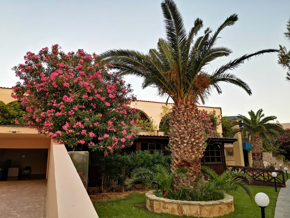 Gartenanlage Hotel Kalithea Horizon Royal