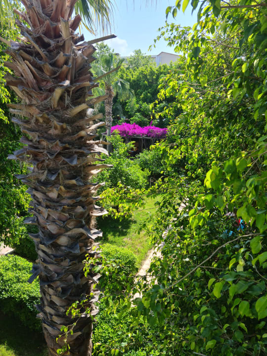 Gartenanlage Telatiye Resort