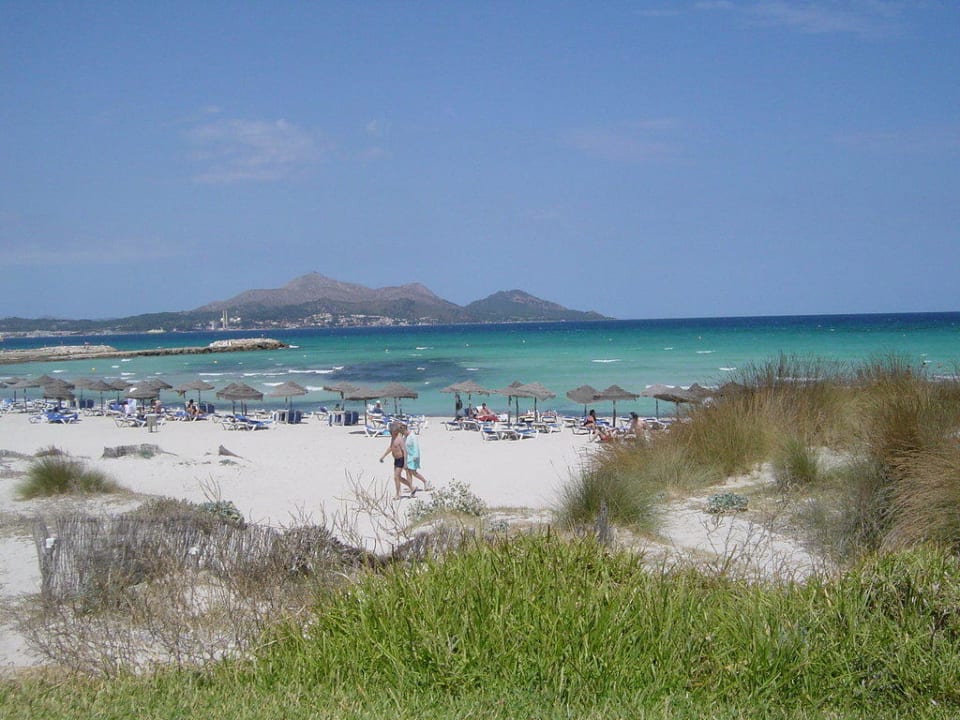 Blick vom Pool zum Strand Grupotel Natura Playa