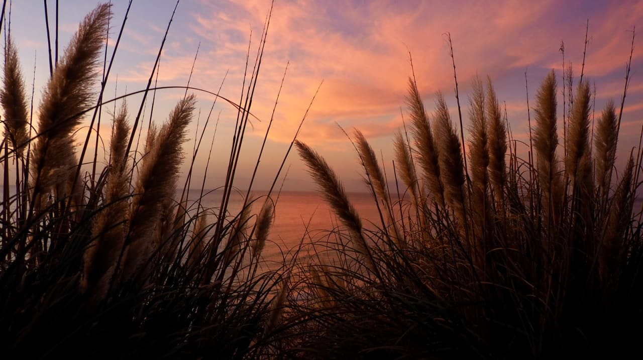 Ausblick Marina Playa Suite Hotel