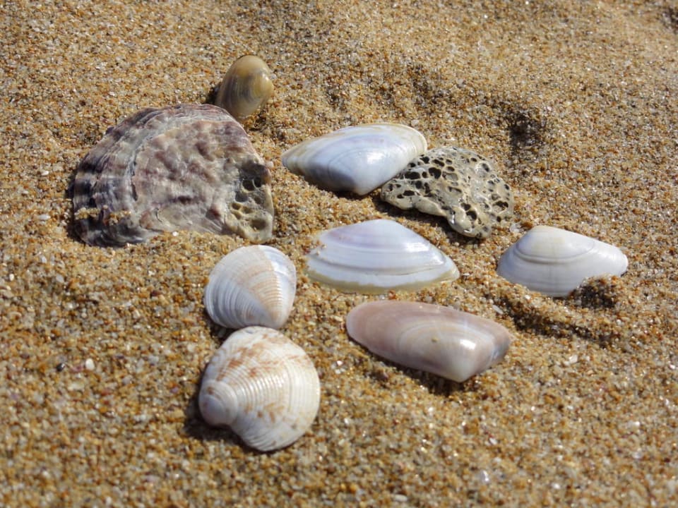 Strandfeeling Duni Royal Holiday Village