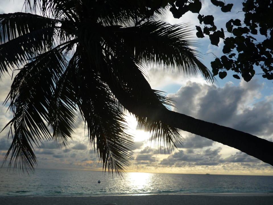 Sonnenaufgang Diamonds Thudufushi