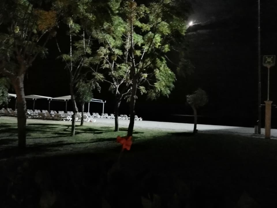 Ausblick Labranda Alantur Resort