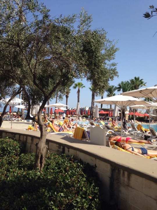 Hauptpool Hilton Malta