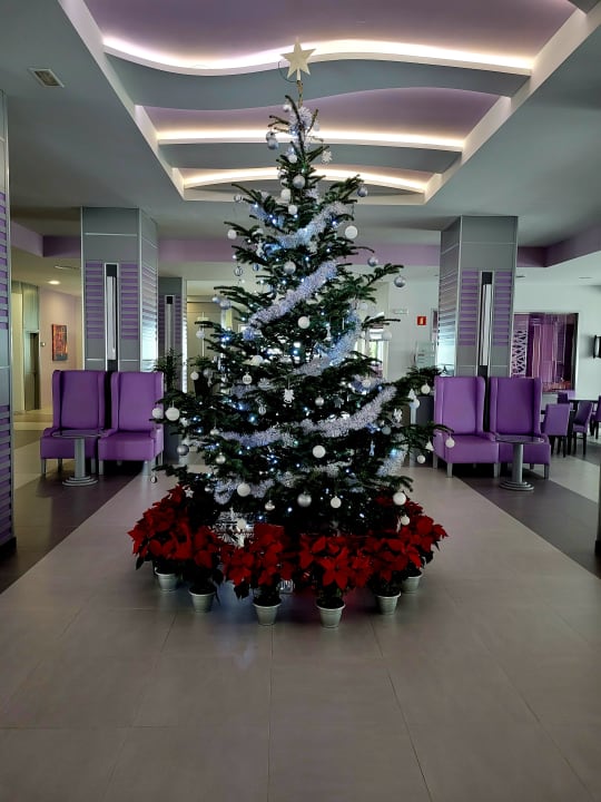 Zimmer Hotel Riu Nautilus - Adults only