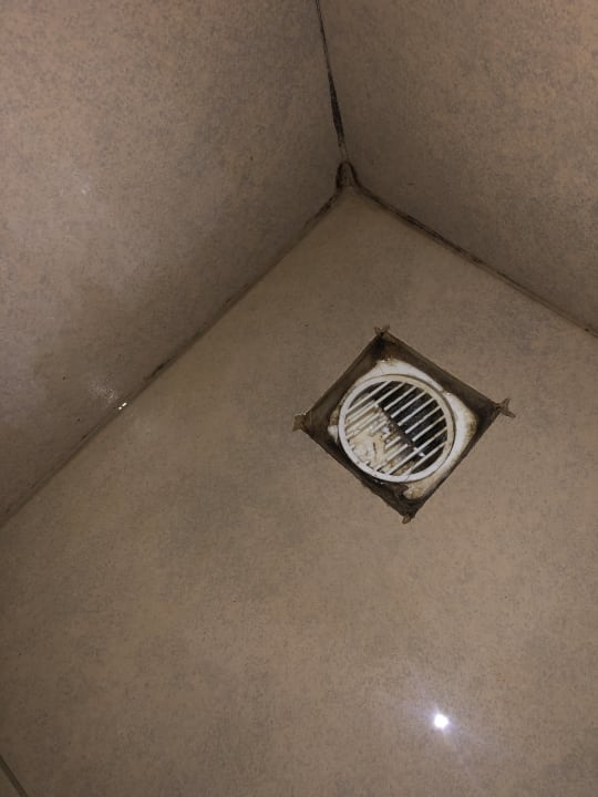 Zimmer Hotel Pine Bay Holiday Resort