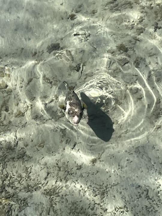 Sport & Freizeit Stella Beach Resort & Spa Makadi Bay