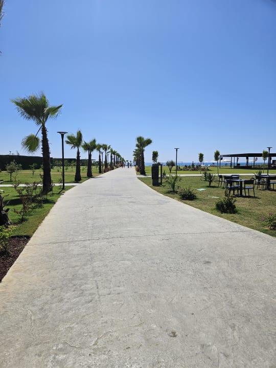 Gartenanlage Jacaranda Luxury Resort