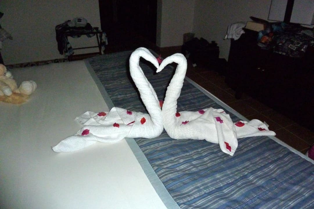 Handtuchfiguren Dreams La Romana Resort & Spa
