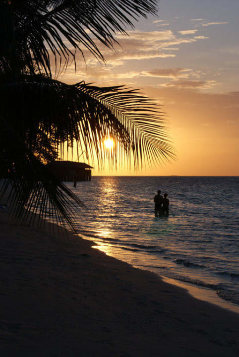 Sonnenuntergang Vilamendhoo Island Resort & Spa