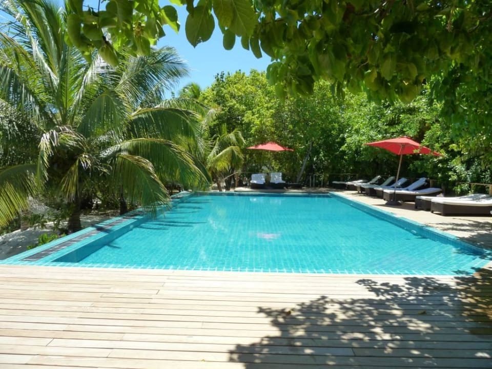 Schöner schattiger Liegenbereich am Pool Eri Maldives