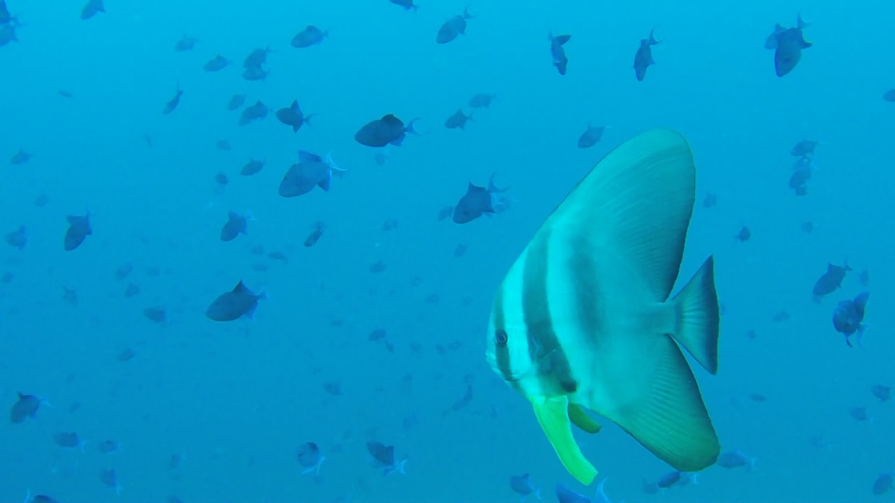 Sport & Freizeit Safari Island Maldives