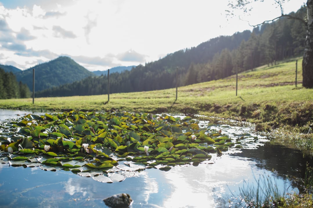 Gartenanlage Gut Theuretzbach