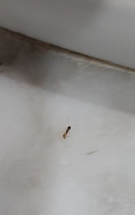 Zimmer H10 Timanfaya Palace - Adults only