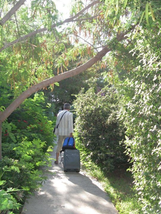 Adios al descanso Odile Hotel