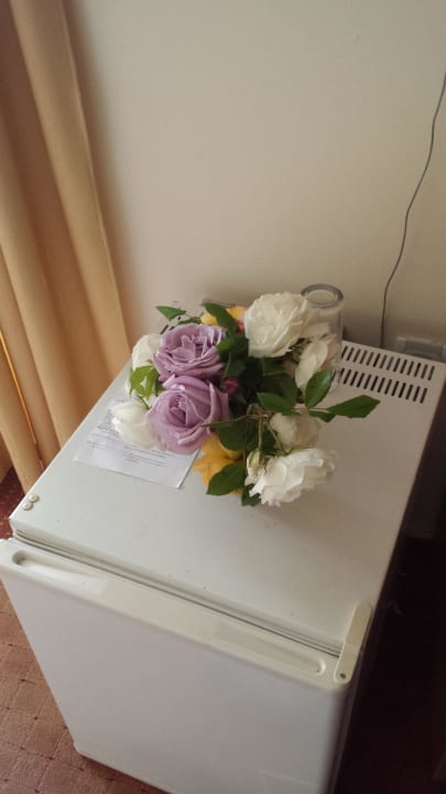 Blumen als Grüß Hotel Nassi