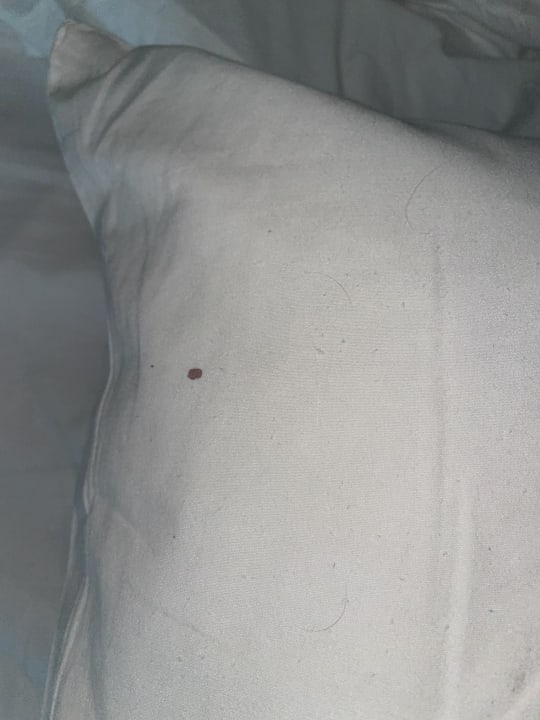 Zimmer Crystals Beach Resort Belle Mare, a member of Radisson Individuals