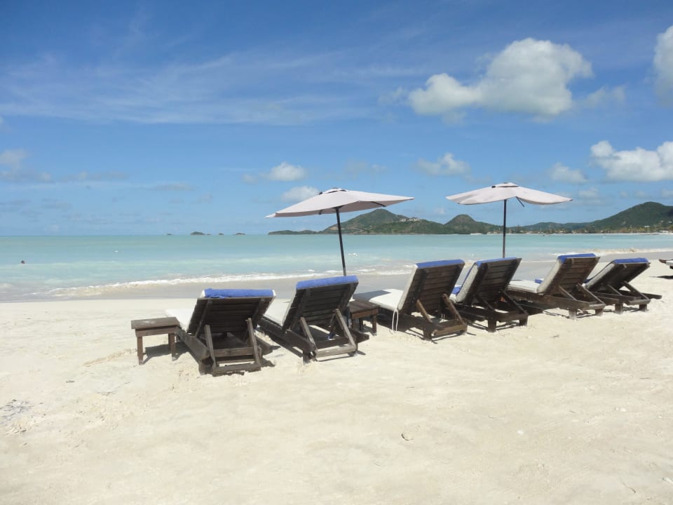 Cocktail wird gleich serviert Cocos Hotel Antigua - Adults Only