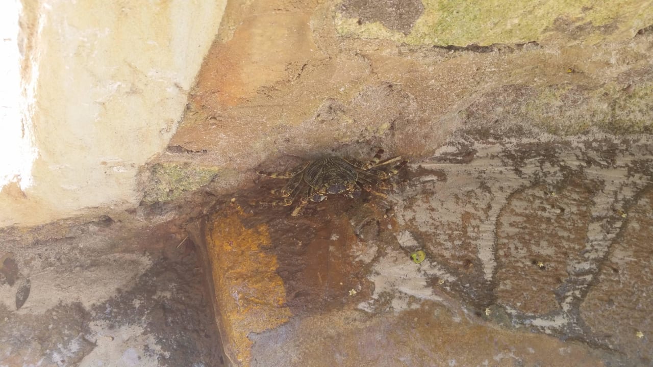 Hotel Baobab Beach Resort Baobab Beach Resort & Spa