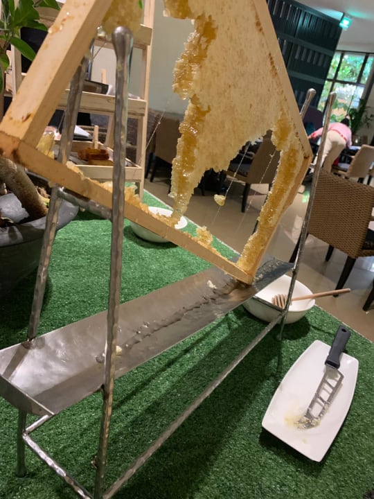 Gastro Anantara The Palm Dubai Resort