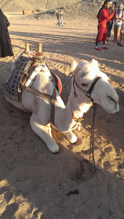 Und, erkennbar? Riviera Aqua Park Resort