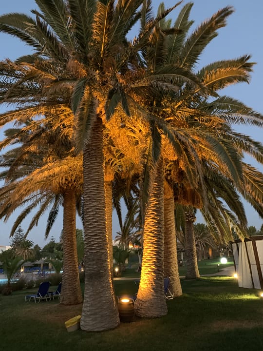 Gartenanlage Anissa Beach & Village