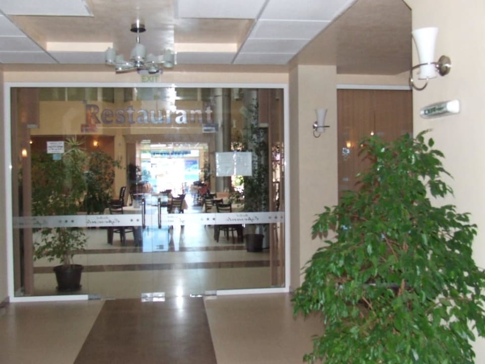 Potwierdzenie tezy o głupocie Hotel Esperanto