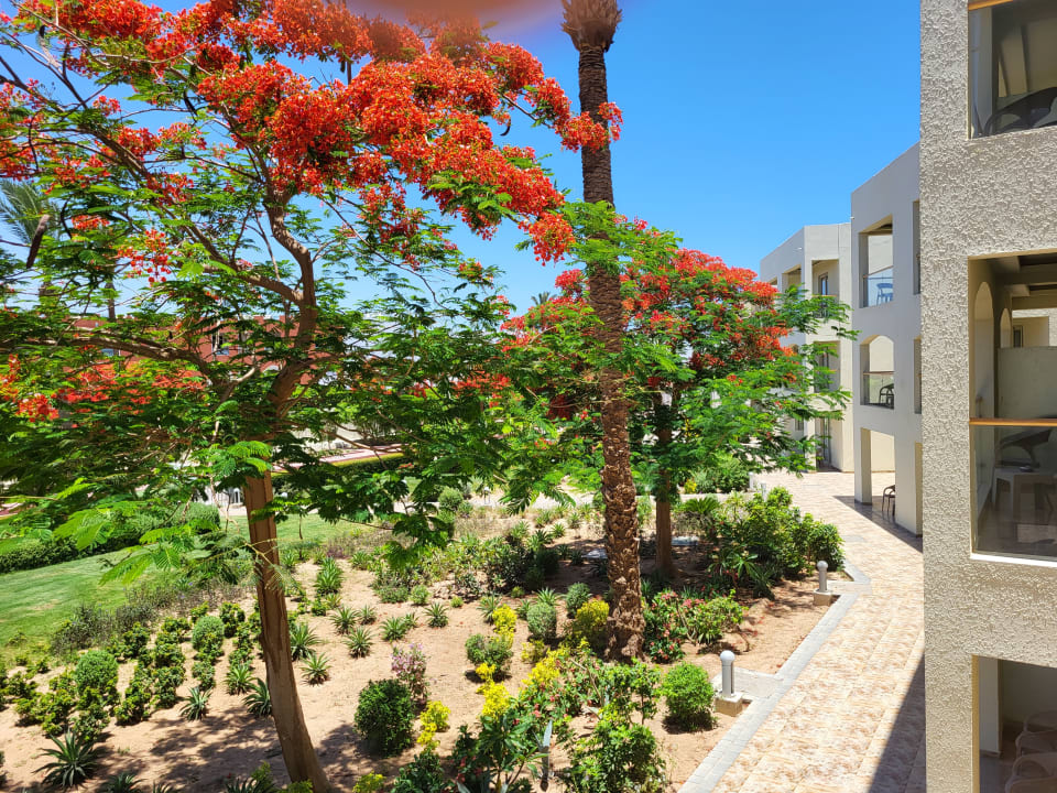 Gartenanlage Pickalbatros Dana Beach Resort - Hurghada