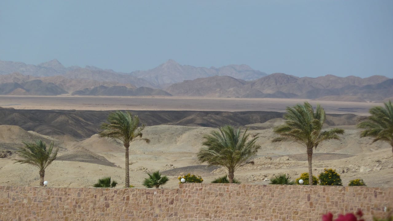 Blick vom Coraya Richtung Flughafen Steigenberger Coraya Beach - Adults only