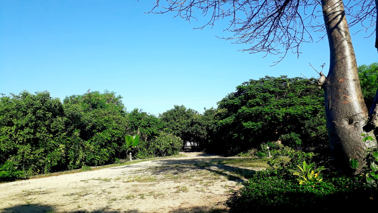 Sonstiges Spice Island Hotel & Resort